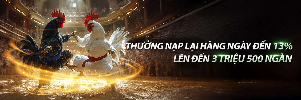 Đá gà c3 ngày 9 tháng 9 - Trận đấu gà kịch tính